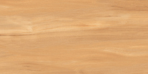 Goa Bronze GP36GOA31 Керамогранит матовый 300*600 (8 шт в уп/57,6 м в пал)