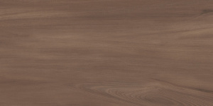 Goa Marron GP36GOA21 Керамогранит матовый 300*600 (8 шт в уп/57,6 м в пал)