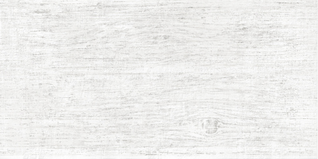 Wood White  WT9WOD00  Плитка настенная 249*500