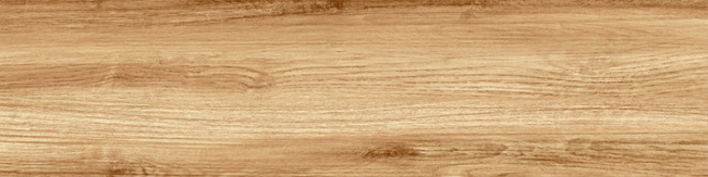 GP1560PEP11